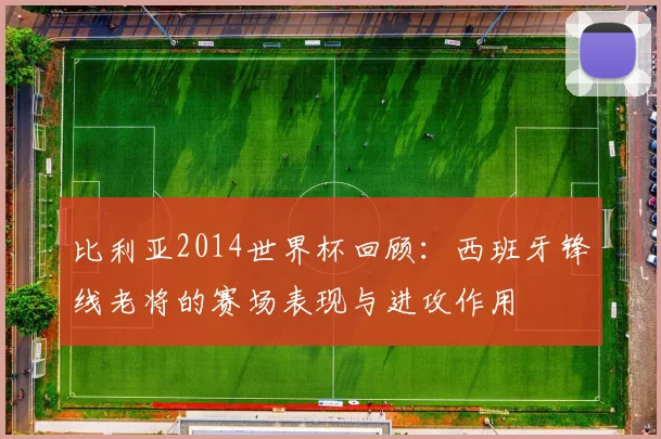 比利亚2014世界杯回顾：西班牙锋线老将的赛场表现与进攻作用