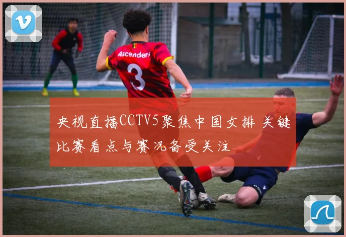央视直播CCTV5聚焦中国女排 关键比赛看点与赛况备受关注