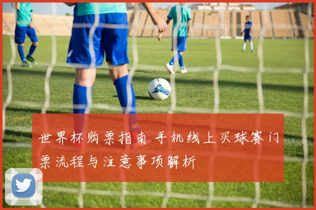 世界杯购票指南 手机线上买球赛门票流程与注意事项解析